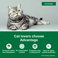 Advantage Topical Flea Prevention For Large Cats 9 lbs+, 2Monthly