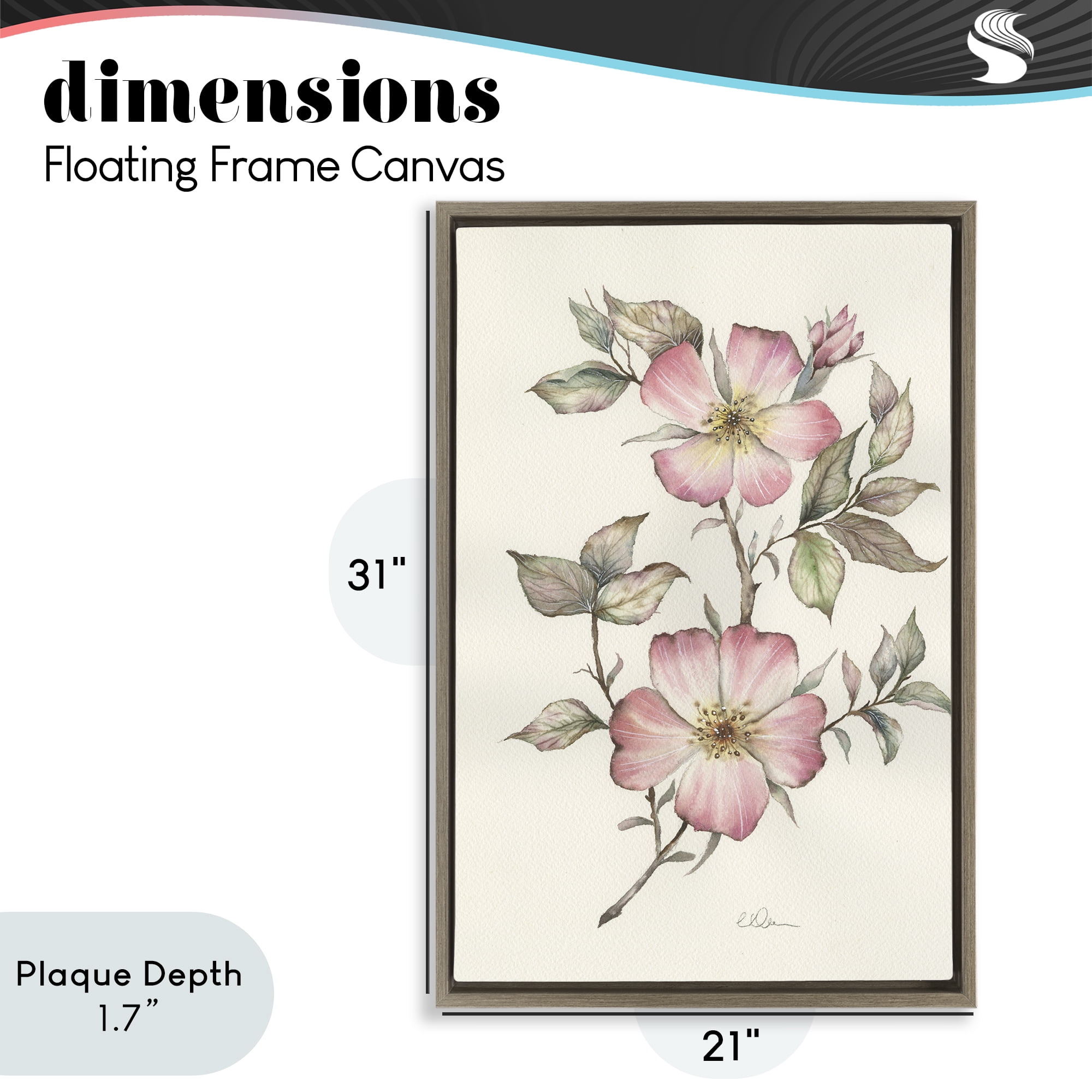 Stupell Industries Two Flowers Natural Study Brown Framed Floater Canvas Wall Art, design by Cady Driver