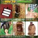 thumbnail image 5 of Bank de dinosaurios para niños, guardería de monedas, diseño de plástico resistente, para cumpleaños, banco automático con clave, juguete educativo, ideal para regalo infantil\ Blaxill, 5 of 8