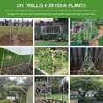 thumbnail image 7 of Trellis Netting,  Heavy-Duty Garden Plant Trellis Netting for Climbing Plants, Outdoor Indoor Grow Net for Beans Tomatoes Peas Pumpkin Flowers, 𝟔 𝐱 𝟑𝟎𝐟𝐭, 𝐏𝐚𝐜𝐤 of 4, 7 of 7