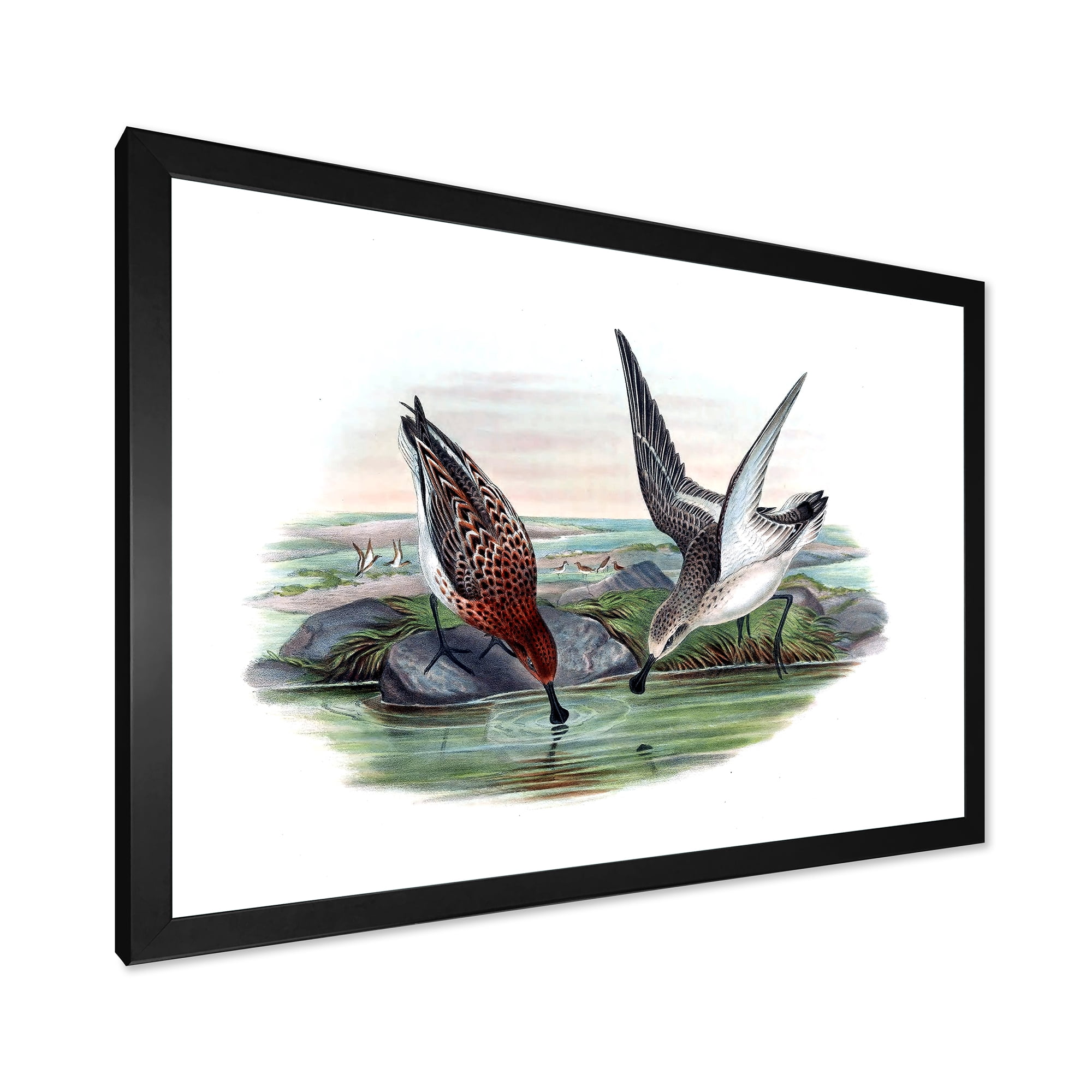 Designart 'Vintage Countryside Two Birds In Lake' Farmhouse Framed Art Print