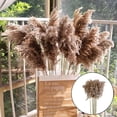 thumbnail image 5 of 10pcs Dried Grass Feathers Natural Dried Reed Flowers Bouquet Arrangements for Wedding Vase Holder Garland Home Decor - Nature, 5cm 50-60cm, 5 of 8