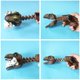 thumbnail image 3 of Novedad, figuras de animales de dinosaurio, juego de garra de agarre, pargo, garra de recogida, regalo interactivo para padres e hijos, 3 of 6