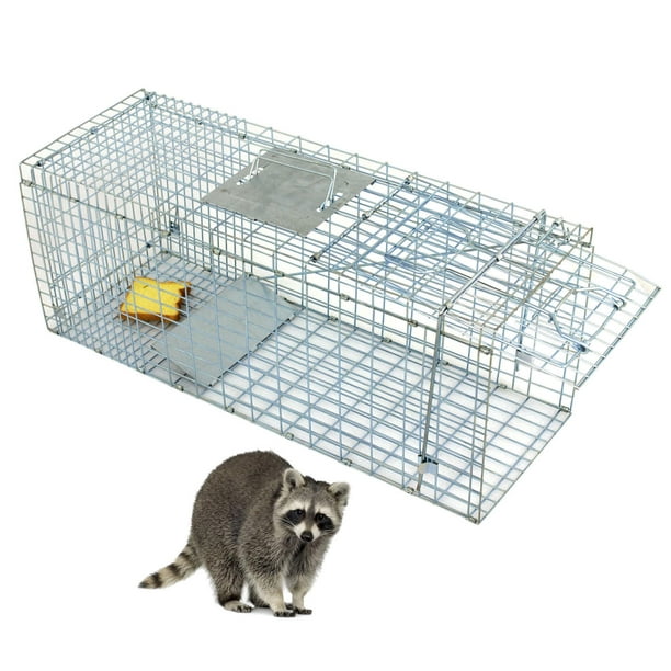 How to safely release a raccoon from a live trap Zeny Humane Small Live Animal Control Steel Trap Cage 31 X12 5 X12 Raccoon Skunk Cat Walmart Com Walmart Com