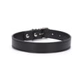 thumbnail image 1 of Rolled Leather Dog Collar for Small Pets - Durable Steel D-Ring and Metal Buckle - Bright, Comfortable Accessory, 1 of 3