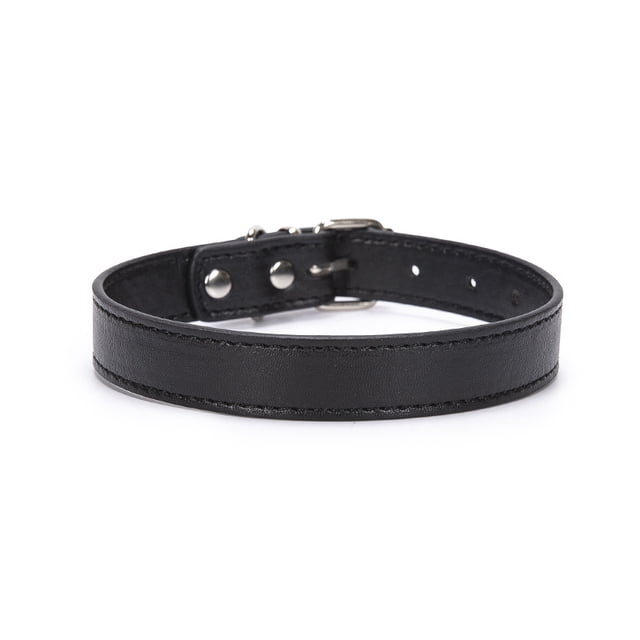 Rolled Leather Dog Collar for Small Pets - Durable Steel D-Ring and Metal Buckle - Bright, Comfortable Accessory