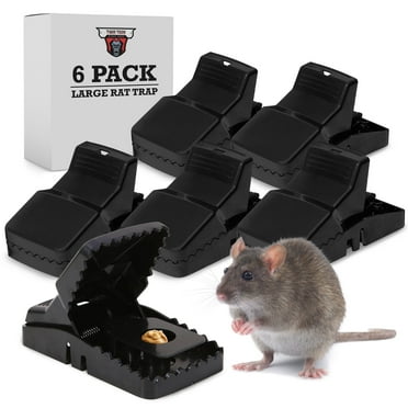 TwinTech Large Mouse Trap for Mice and Rats (6 Pack) - Durable Rat Traps - Reusable Mouse Traps - Hygienic Rodent Control - Traps Large Size for Rats - Mice Traps Indoor for Home and Outdoor