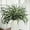 Green-millet Leaves, variant on Eucalyptus Stems, 20PCS 17inch Real Fresh Dried Eucalyptus Branches for Shower Wedding Spring Festival Vase Home Decoration