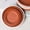 3.5×0.4 in, variant on 6-Pack 5Inch Heavy Duty Plastic Flower Plant Pot Saucer Tray, Round Sturdy Drip Water Collection Bases for Indoor Outdoor Gardening, BPA Free Plant Pot Base Protector