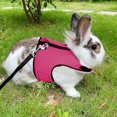 thumbnail image 5 of JinsintoHarness and Leash Set for Small Animals, Durable Soft Mesh Nylon Harness, Comfortable Padded Vest Strap All Seasons Suitable -, 5 of 5