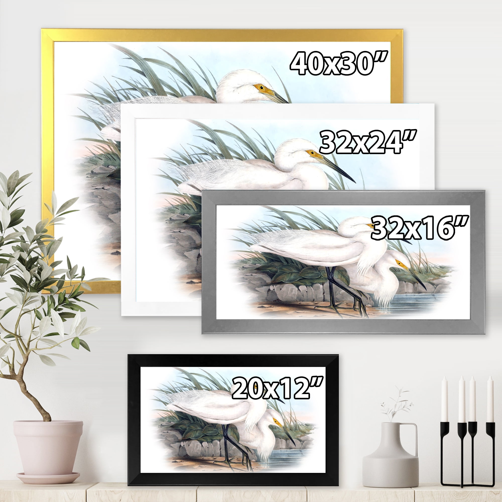 Designart 'Ancient Bird Life I' Traditional Framed Art Print