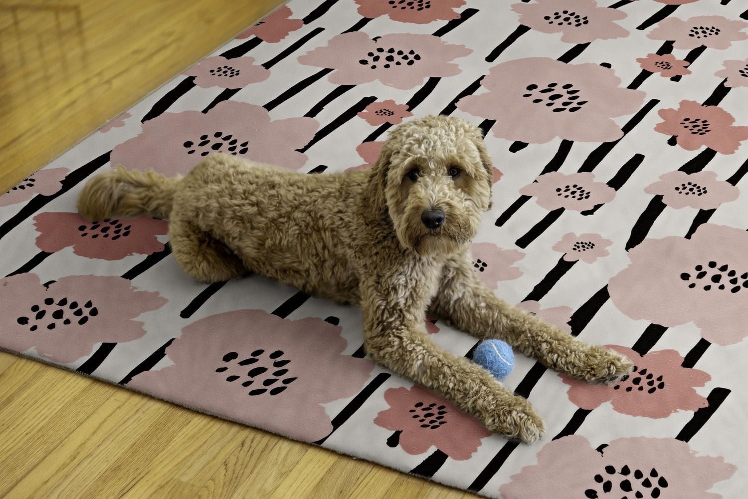 Tapis lavable Laurel 5 pi x 7 pi ivoire et rose