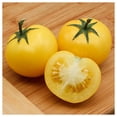 thumbnail image 3 of Everwilde Farms - 1/4 lb Sunray Heirloom Tomato Seeds - Gold Vault Bulk Seed Packet, 3 of 3
