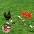 thumbnail image 5 of 3 Pack Plastic Flip-Top Poultry Feeder Tray, Chick Feeding Trough for Baby Chicken, Ducklings, Quail, Pigeons and Small Birds – Spill-Resistant Farm Feeder (3PCS), 5 of 6