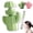 B, variant on Ear Piercing Cleaner Floss with Cactus Storage Case, Disposable Ear Hole Cleaner String for Earring Care, Gentle Piercing Aftercare Cleaning Kit for Women Men, Portable Travel Hygiene Tool