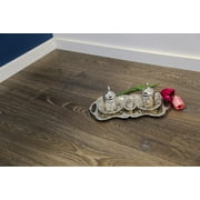 Terra EIR 12 mm Thick x? 7.72 in. Width x 47.83 in. Length HDF Laminate Flooring (14.96 sq. ft/ case)