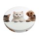 thumbnail image 1 of Disketp Cute Kittens And Puppy Funda Redonda para Taburete, Funda de Cojín para Silla de Bar Suave y Elástica-12 inch, 1 of 7