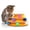 Tower Of Tracks, variant on Catstages Tower of Tracks Cat Toy – 3-Level Track Tower with 6 Balls, Interactive Cat Toy for Indoor Enrichment
