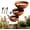 Light Copper, variant on Rain Catcher Bird Bath, 3-Layer Metal Rain Catcher Garden Stake, Rustic Stacked Bird Bath Copper Disk Decor, Weather-Resistant Stake Bird Water Bowl Feeder for Yards, Lawns, Gardens (Copper)
