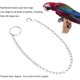 thumbnail image 3 of Cadena de pie de loro, tobillera de entrenamiento de vuelo antimordida de acero inoxidable, arnés de pájaro para loros, guacamayos, grises africanos, periquito, cacatúa, 3 of 5