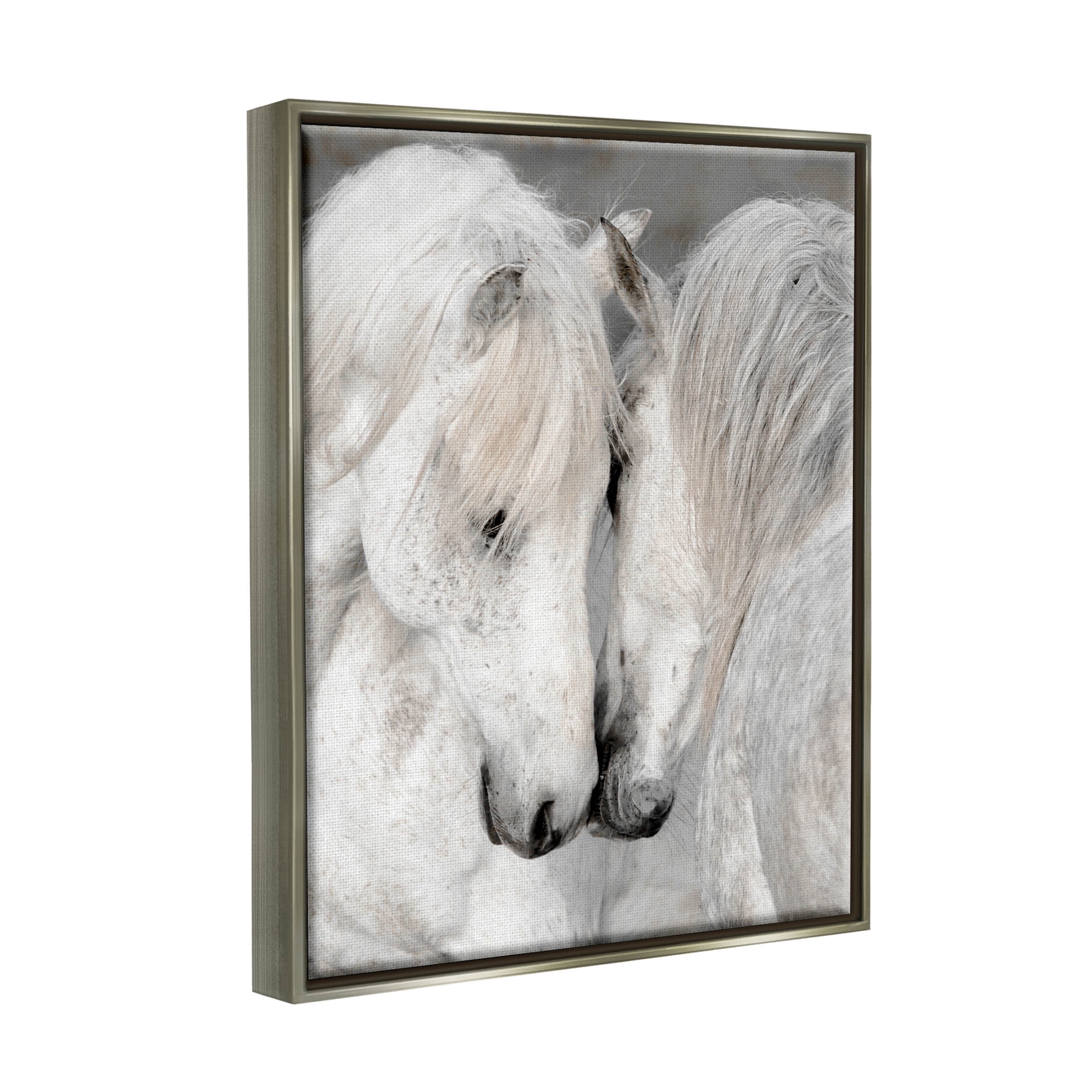 Hugging Horse Duo Wildlife Animals & Insects Photograph Luster Gray Framed Art Print Wall Art