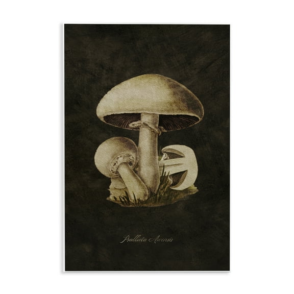 Stupell Industries Portobello Mushroom Study Plants & Flowers Painting Unframed Art Print Wall Art, 10 x 15
