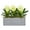 White, variant on Bromeliad Artificial Plant in Stone Planter