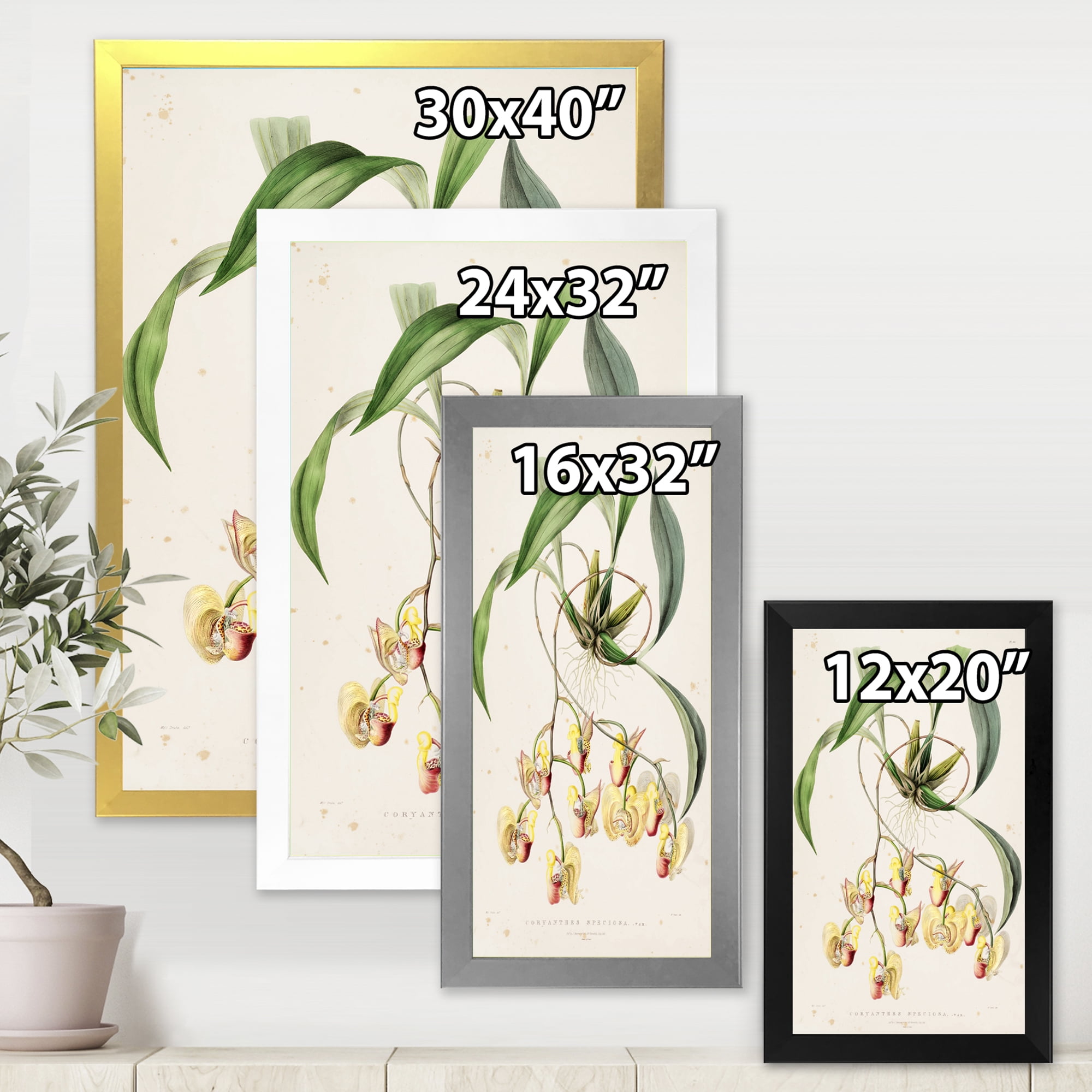 Designart 'Blossoming Vintage Flower I' Traditional Framed Art Print
