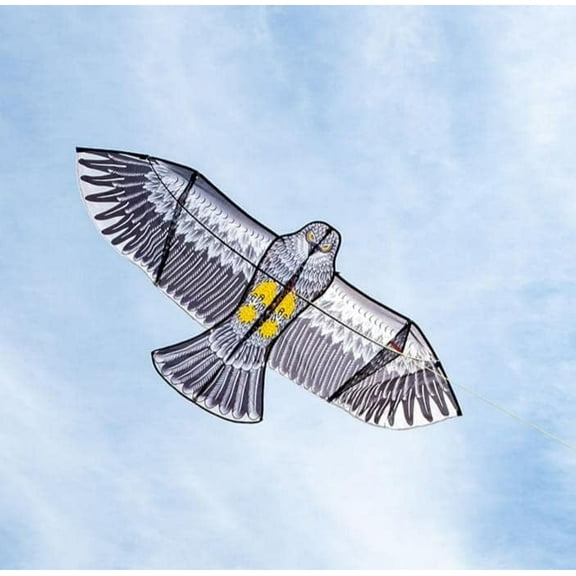 3.6M Eagle Kites for Adults Kites Professional