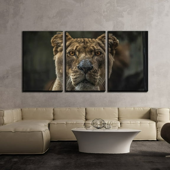 wall26 - 3 Piece Canvas Wall Art - Wild Animal Lion - Modern Home Art Stretched and Framed Ready to Hang - 24"x36"x3 Panels