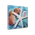 thumbnail image 2 of Seashells And Rocks #6 By Cheri Wollenberg, 21" x 17" Fine Art Giclee Print on Gallery Wrap Canvas, Ready to Hang, 2 of 2
