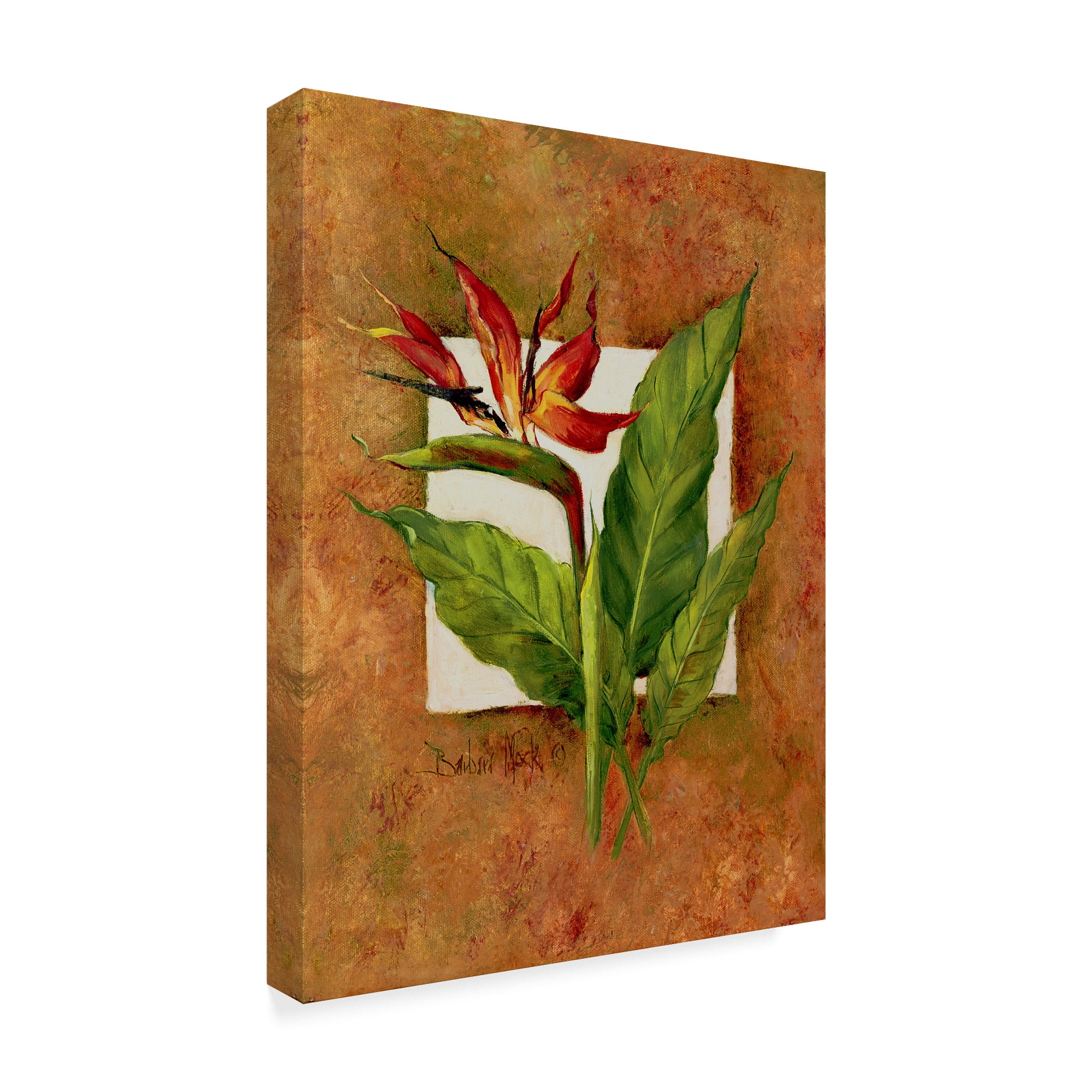 Trademark Fine Art ' Tropical Squares 2' Canvas Art by Barbara Mock