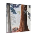 thumbnail image 2 of Sequoia Superlative Splendor - Canvas, 2 of 10