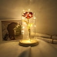 thumbnail image 3 of Abbracc shamjina Rose Lamp Lights,LED Eternal Roses For Wedding Anniversary Red, 3 of 9
