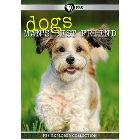 Dogs: Man's Best Friend (DVD) (Something Special For Best Friend)