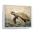 thumbnail image 2 of Designart "Simplistic Turtle Exploration I" Animals Turtle Floater Framed Canvas Prints, 2 of 5
