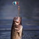 thumbnail image 3 of Señuelos Pesca Giratorios Mano Con Cuchara Lentejuelas Wobbers Crankbaits (4), 3 of 6