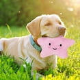 thumbnail image 3 of Dog Interative Star Shaped Squeaky for Cat Teaser Soft for Dogs Puppy Training, 3 of 4