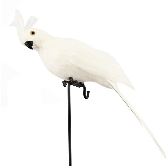 Coofit Artificial Parrot Simulated Decorative Foam Artificial Bird Garden Decor Bird
