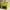 Green, variant on Modern Velvet Accent Chair, Lounge Armchair with Ribbed Detail, Luxury Curved Fully Upholstered Chair, Comfy Single Sofa Chair for Livingroom/Bedroom/Study, Green