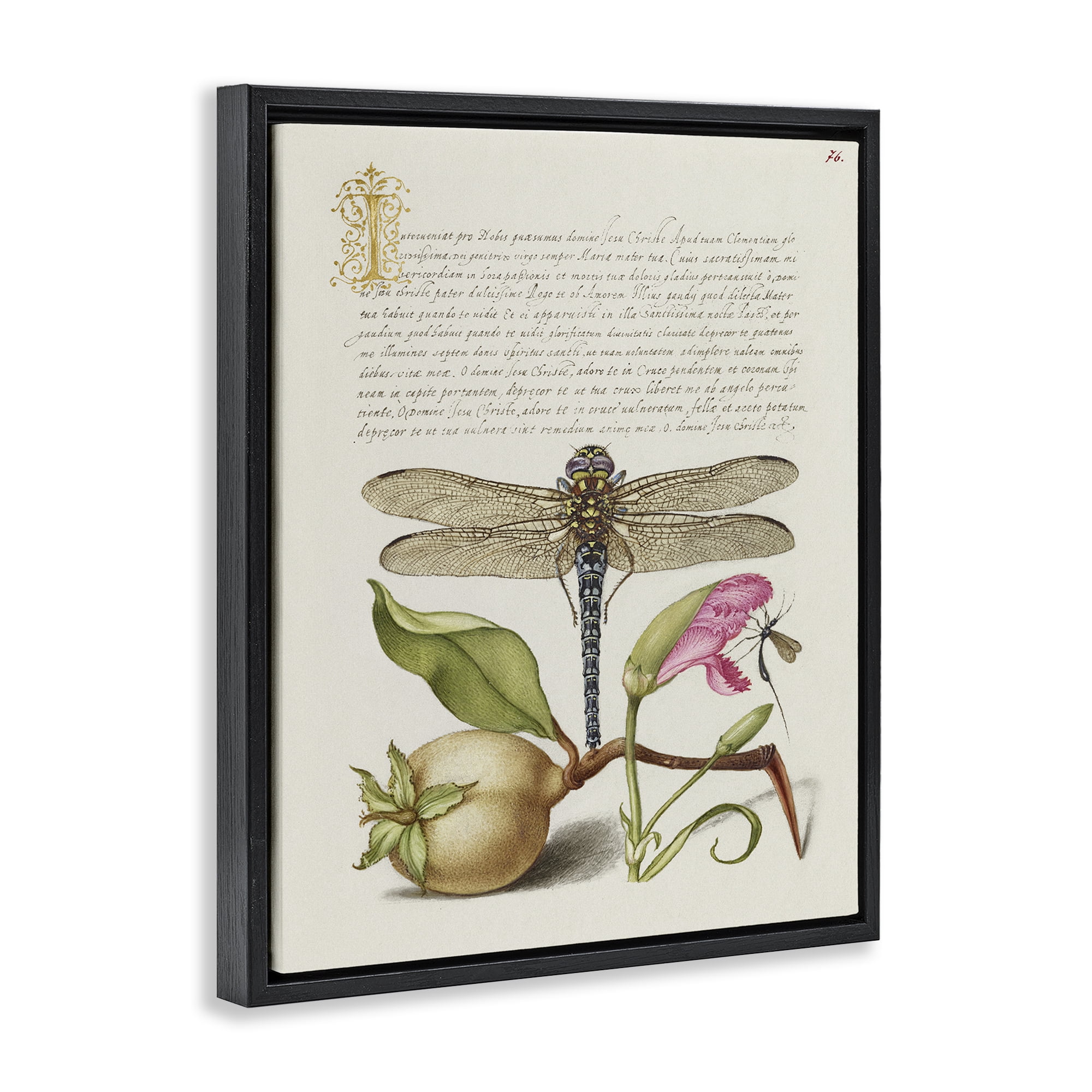 Stupell Industries Vintage Dragonfly & Plants Text & Numbers Painting Black Floater Framed Canvas Art Print Wall Art, 17 x 21