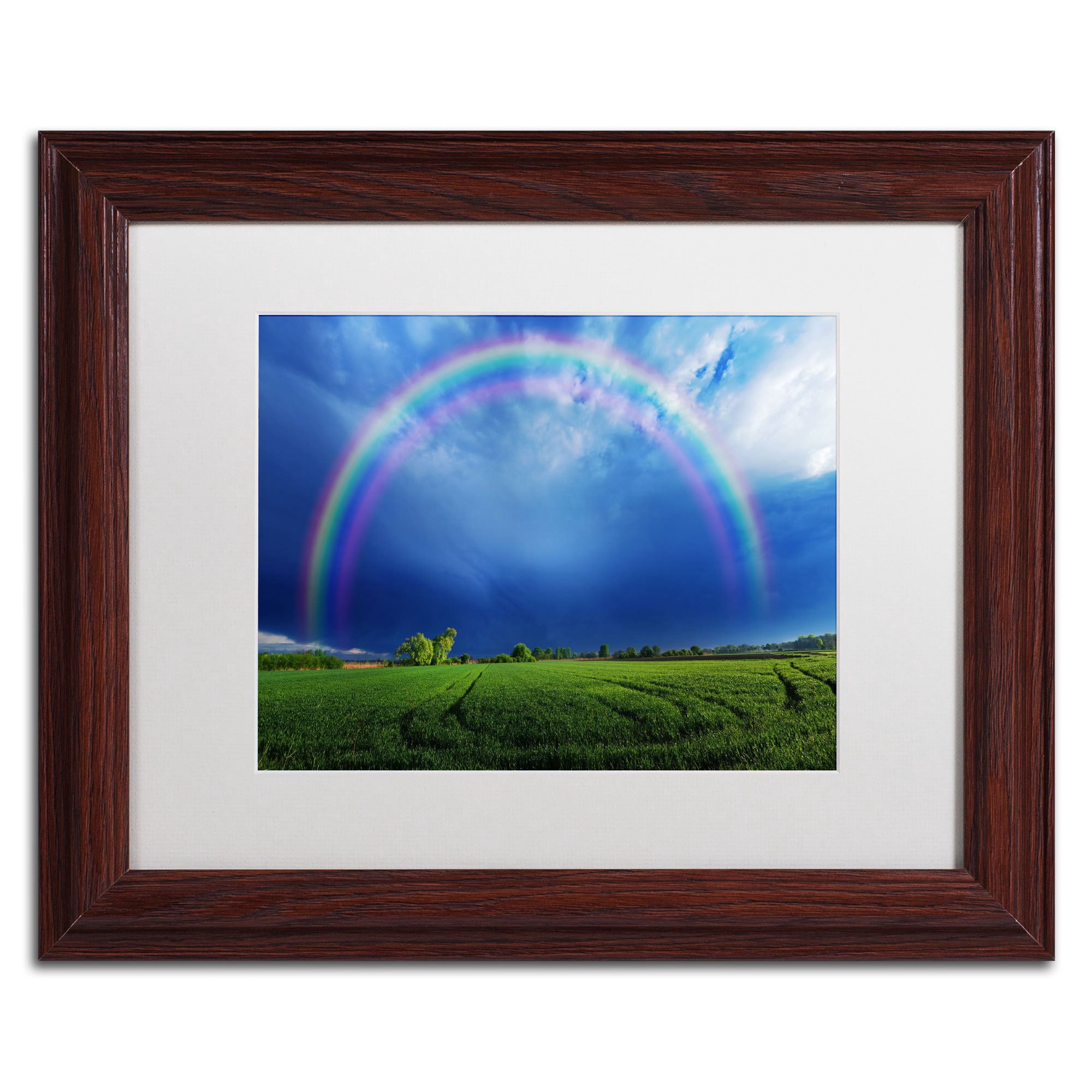 Trademark Fine Art "Lucky Rainbow" Canvas Art by Philippe Sainte-Laudy, White Matte, Black Frame