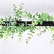 thumbnail image 4 of Monstrate 2 piezas de plantas artificiales de eucalipto colgantes de hojas de vid falsas de oficina simulada realista Faux Garland telón de fondo Decoración Monstrate HA084556-00, 4 of 6