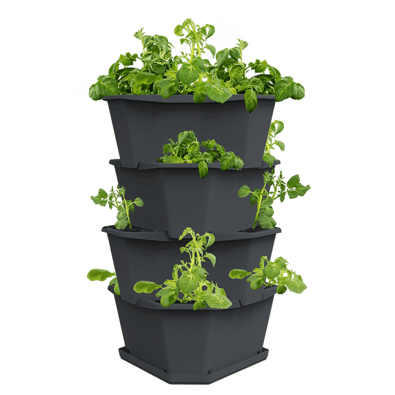BUZZY Seeds Starter Stackable Vertical Planter – 4-Level Raised Garden Tower for Potatoes, Strawberries, Vegetables & Flowers (Gray)