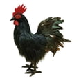 thumbnail image 1 of Almencla Simulation Model Animal Realistic Outdoor Decor for Store Patio Farm Black, 1 of 8
