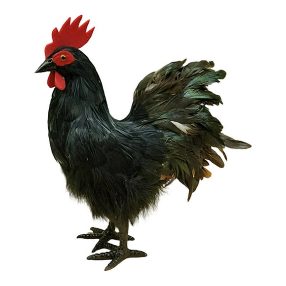 Modelo de simulación de gallo, figura de gallo falso, accesorio para fotografía al aire libre Negro