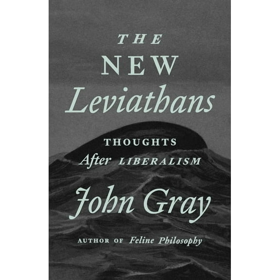 The New Leviathans : Thoughts After Liberalism (Hardcover)