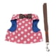 thumbnail image 2 of cat and dog Leash For Walking Pet Kitten Kitty Arnés Chaleco con BowKnot Duradero - L L Zulema Pet Dog Cat Harness, 2 of 8
