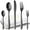 Black, variant on COPOTI Silverware Set 20 Piece For 4 People, Modern Stainless Steel Knife Fork Spoon Flatware Set.
