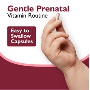 Celebrate Vitamins Bariatric Prenatal Vitamins with Folate (Folic Acid), Vitamin A, Iron, and Choline, 60 count
